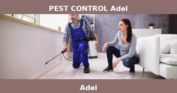 PEST CONTROL Adel